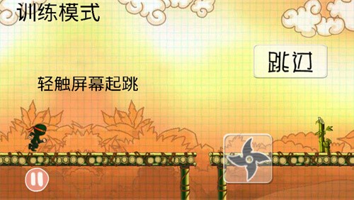 忍者突袭