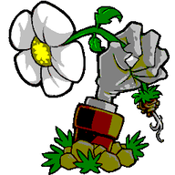 植物大战僵尸射击版0.3