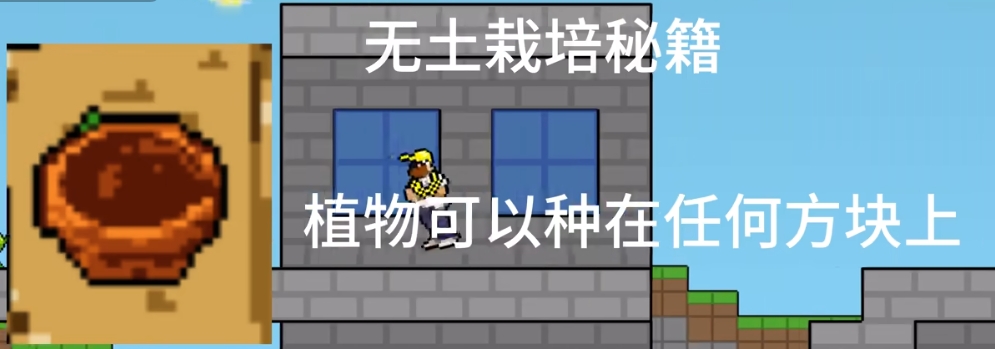 植物大战僵尸肉鸽版一坨马版中文版