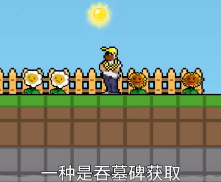 植物大战僵尸肉鸽版一坨马版中文版