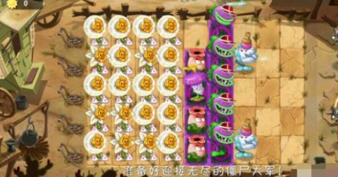 植物大战僵尸进化版