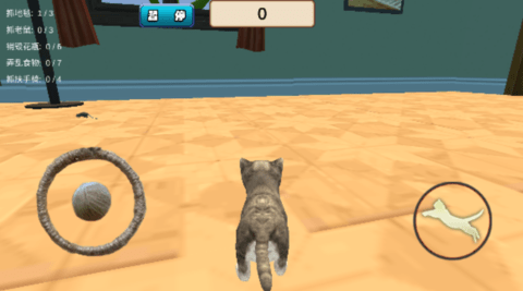 我是一只猫