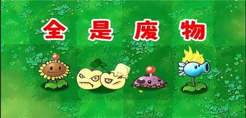 植物大战僵尸废物版
