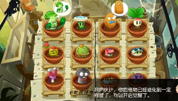 植物大战僵尸全明星雨神