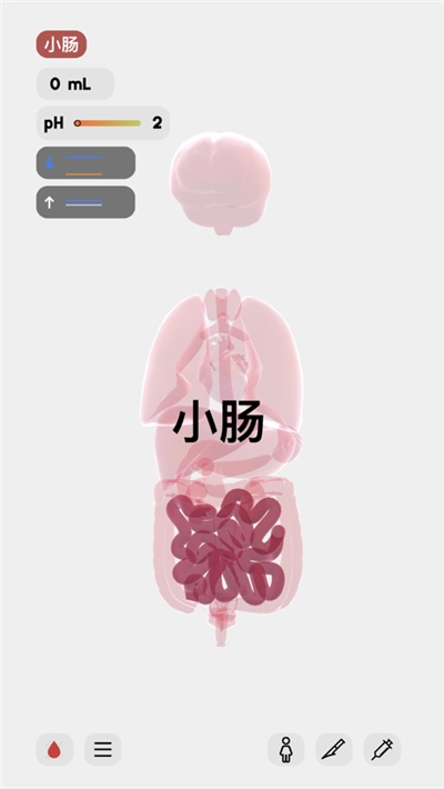 生命模拟器life