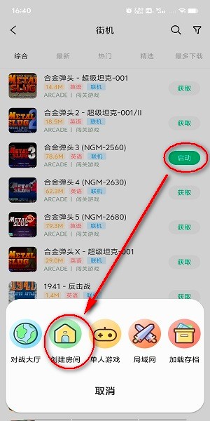 小马模拟器2025