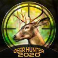 猎鹿3D2021