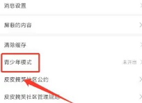 皮皮搞笑青少年版