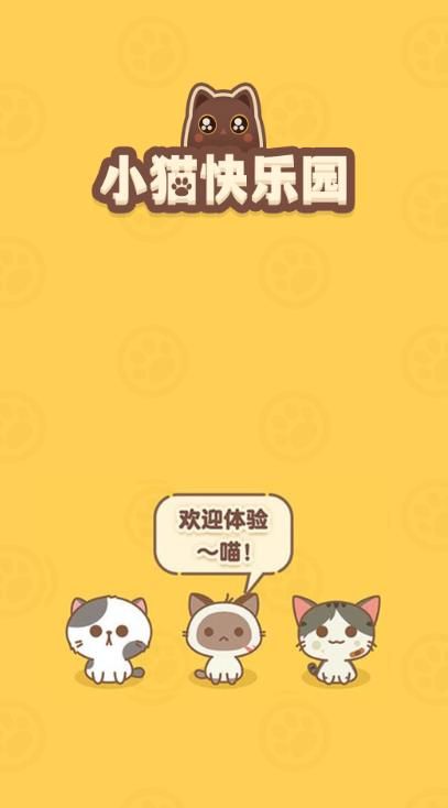 小猫快乐园